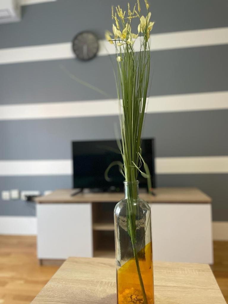 Naki Apartmani Подгориця Номер фото